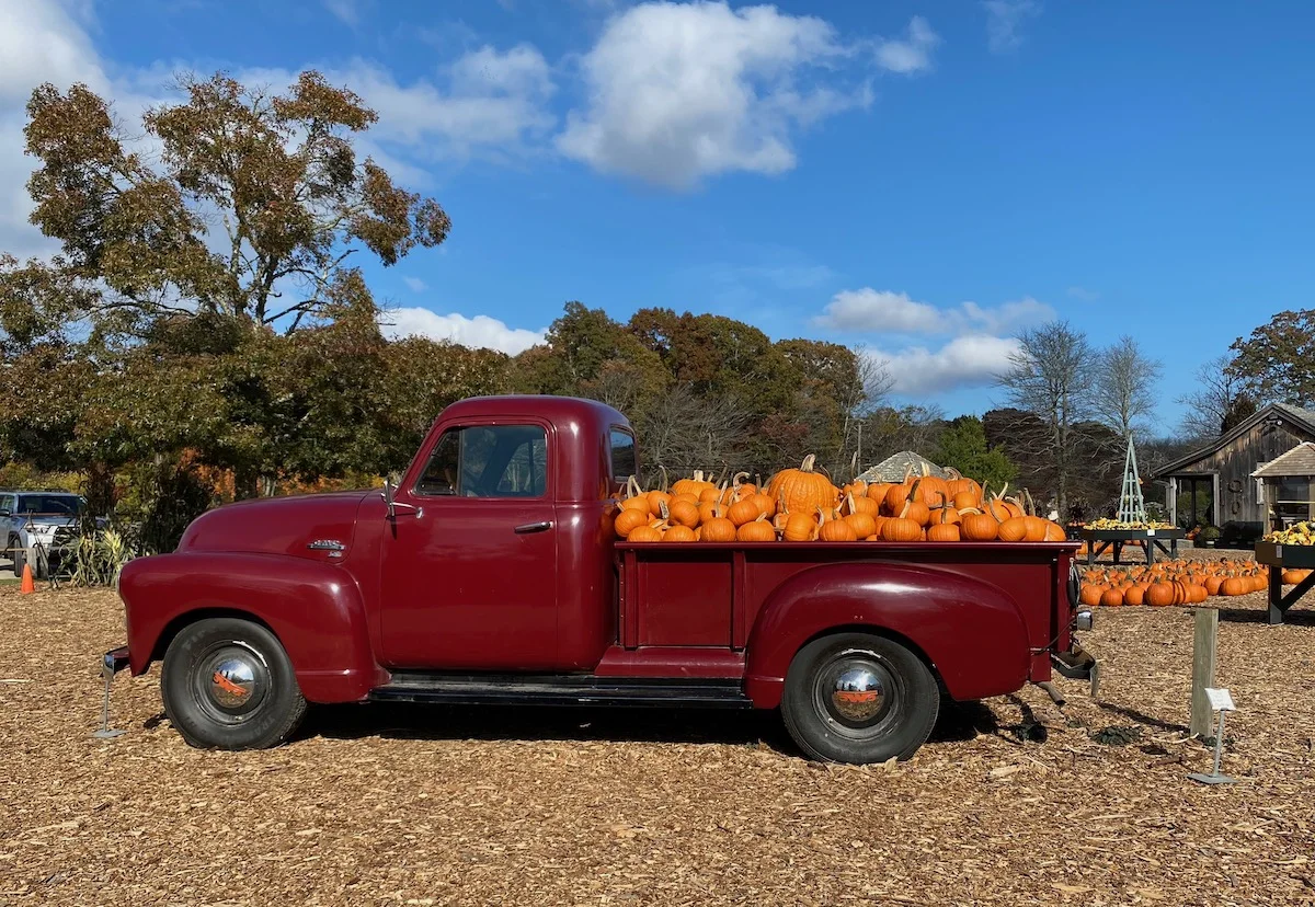 old truck at Farmer's daughter loaded with pumpkins