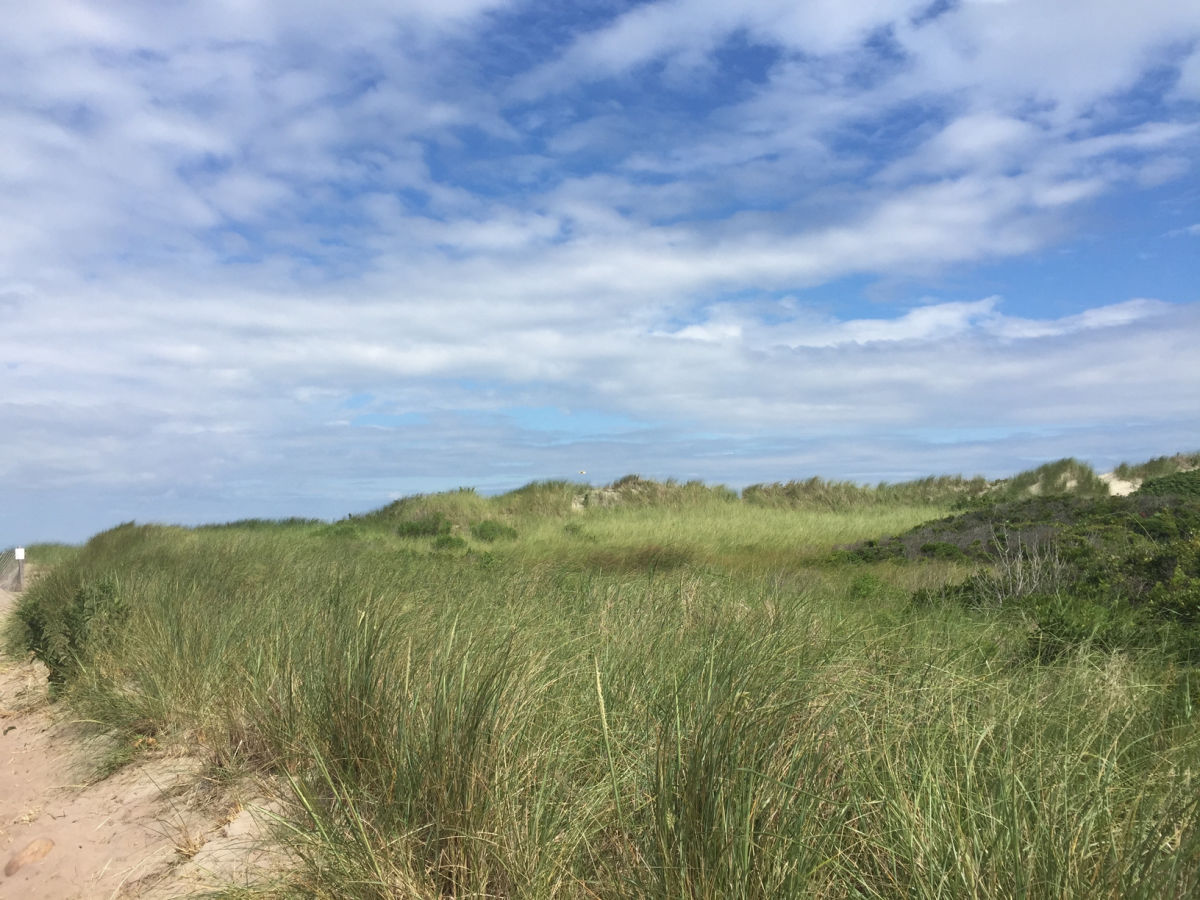 Scotch Beach dunes on Block Island Rhode Island