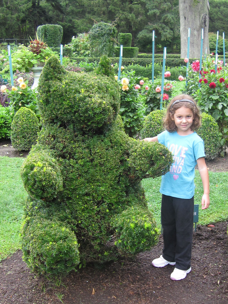 Bear topiary at Green Animals Topiary